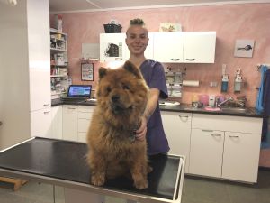 Bild von Auszubildender Sandra Güttel