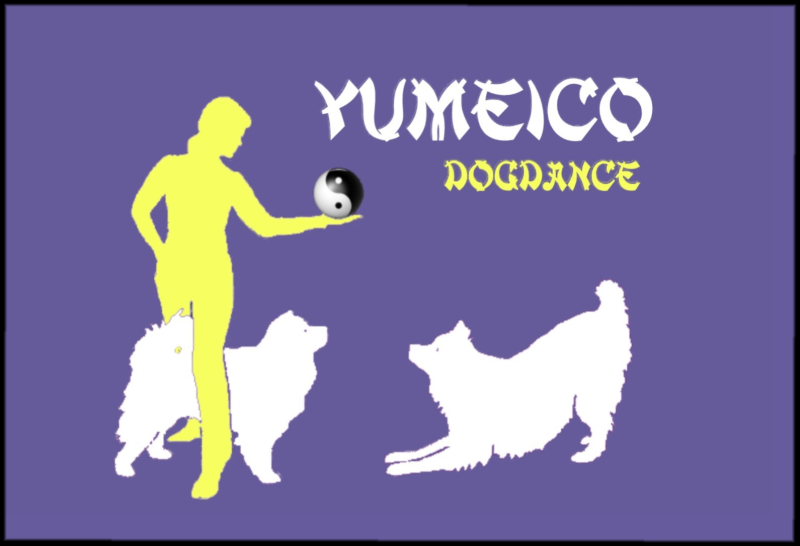 www.yumeico.de