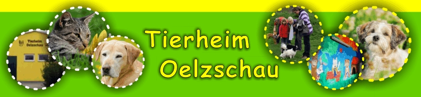 www.tierheim-oelzschau.com