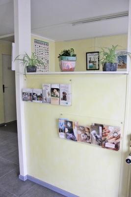 Bild vom Infobereich