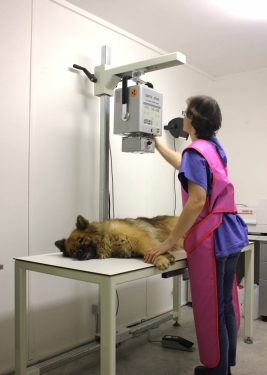 Bild vom Röntgenraum